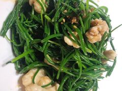 果仁爱沙葱-九十九顶毡房(阜石路店)