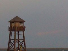 -碧海金沙