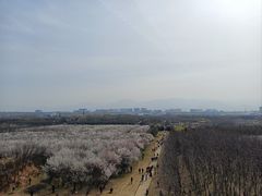 -明秦王墓遗址