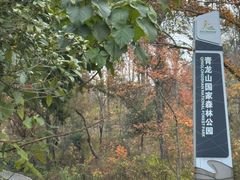 -青龙山国家森林公园