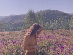 -清远熹乐谷温泉度假酒店