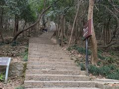 -紫金山山顶公园