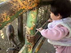-合肥野生动物园