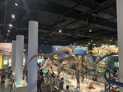 -国家自然博物馆