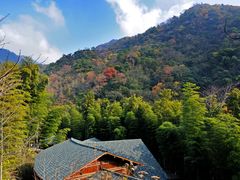 -祁门牯牛降观音堂风景区