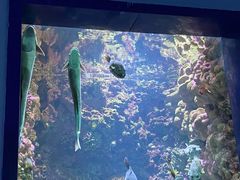 -海合安青岛极地海洋公园