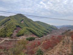 -四明山国家森林公园