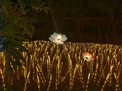 -广东花都香草世界旅游度假区