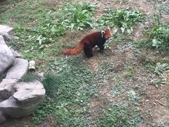 -南昌动物园