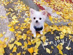 -四川大学(华西校区)