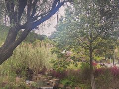 -东钱湖小普陀景区