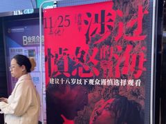 -幸福蓝海国际影城(崇安寺T12店)