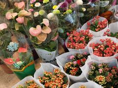 -双季花艺园艺市场(浦东店)