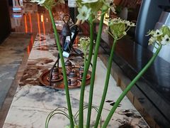 -福州泰禾铂尔曼酒店·大堂酒廊