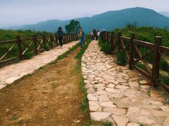 -阳台山自然风景区