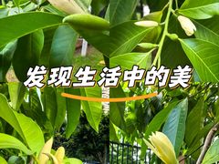 -龙头寺公园