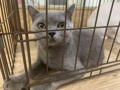 -iF摄影•全家福•证件照•形象照(南山店)