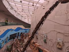 -陕西自然博物馆