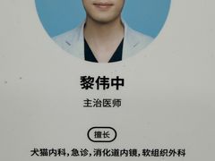 -申普宠物医院·心脏介入·心血管微创(总院)