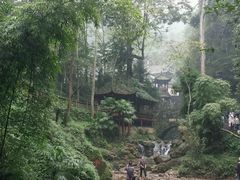 -九寨沟-树正沟