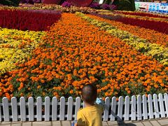 -大兴滨河森林公园