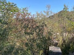 -双龙峡