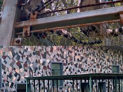 -哈尔滨北方森林动物园