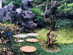 -南山植物园