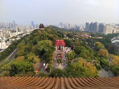 -黄鹤楼公园(黄鹤楼)