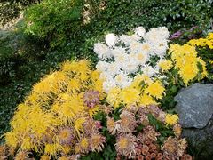 -杭州植物园
