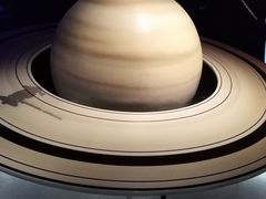 -贝林大翅鲸简餐厅(国家海洋博物馆店)