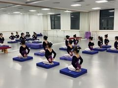 -西安小天鹅艺术团(金花路校区)