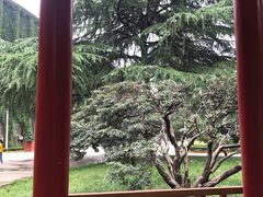-西安交通大学(雁塔校区)