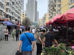 -哈尔滨道外花鸟鱼市场