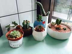 -蜜蜂小象·榴莲千层蛋糕(时代汇11栋店)