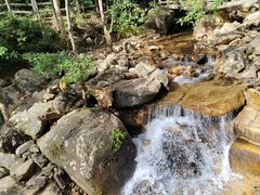 -姑婆山旅游区