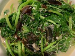 -醉美东江·三文鱼·烧鸡公