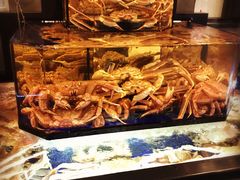 大堂-蟹道乐(道顿堀本店)