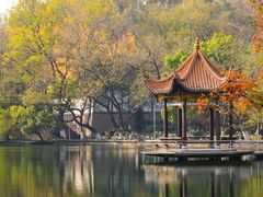 -荔湾湖公园