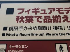 -秋叶原电器街
