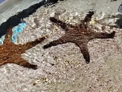 -绿色星球动物主题公园