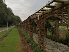 -北京张裕爱斐堡酒庄