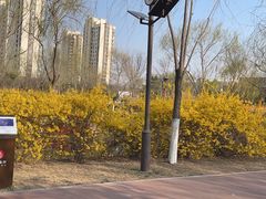 -南翠屏公园