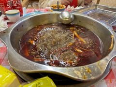 -金鼎雪山牦牛杂火锅(理县总店)