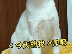 -虹泰宠物医院 ·旗舰店·24h(南秀路店)