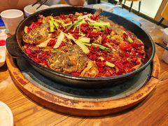 -老板恋上鱼(印象城店)