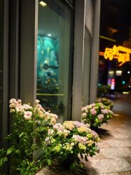 -娇玫荟SPA