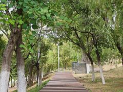 -济南国际园博园