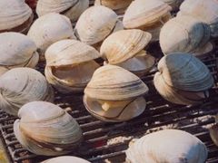 -丹东特色烤肉(南光三部店)