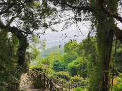 -青芝山风景名胜区